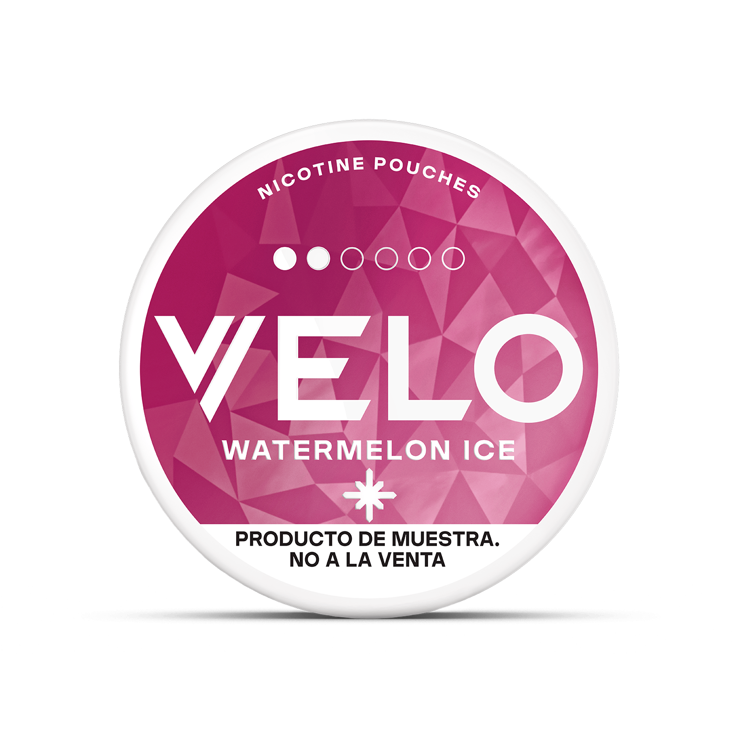 watermelon-ice